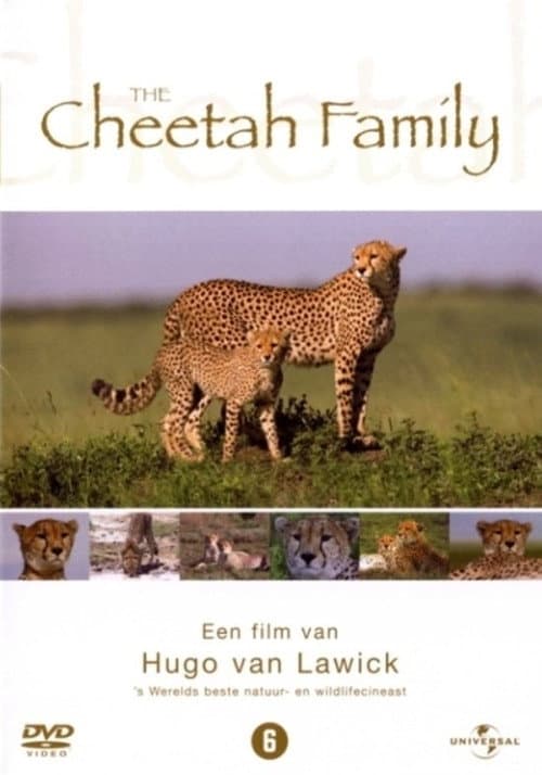 Afiche de Cheetah Story