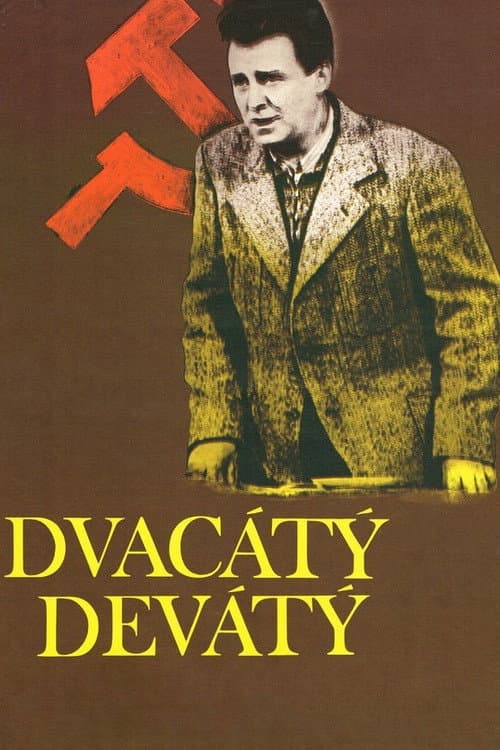 Afiche de Dvacátý devátý