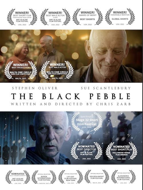 Afiche de The Black Pebble