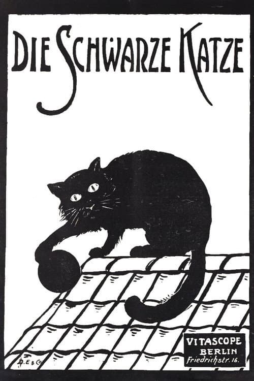 Afiche de Die schwarze Katze 1. Teil