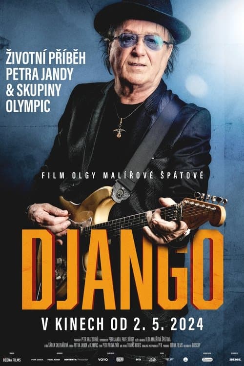 Afiche de Django