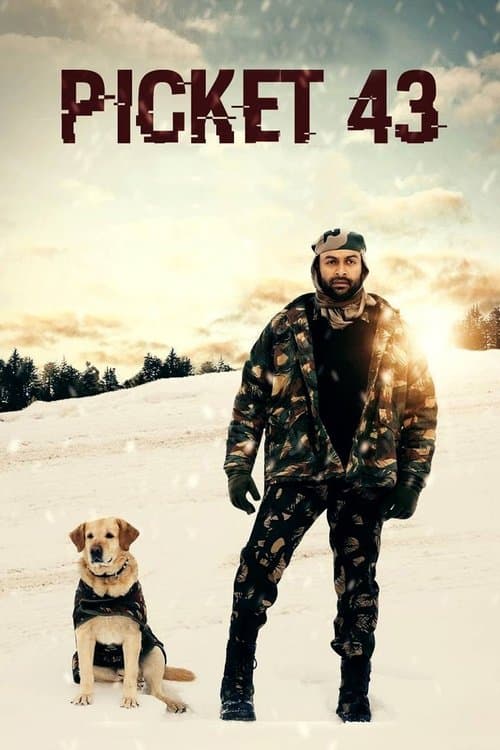 Afiche de Picket 43