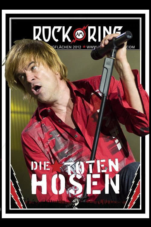 Afiche de Die Toten Hosen - Rock am Ring
