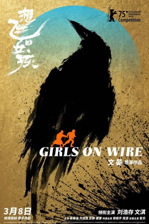 Afiche de 想飞的女孩