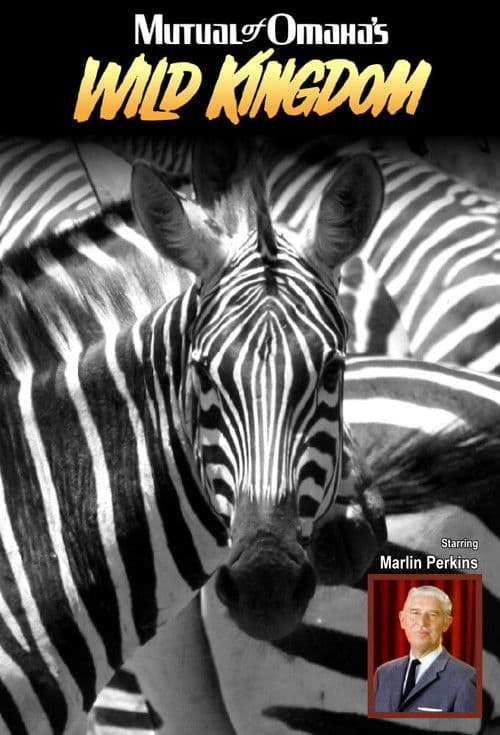 Afiche de Mutual of Omaha's Wild Kingdom
