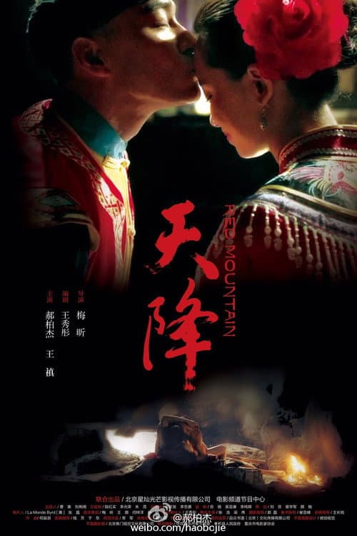 Afiche de 天降