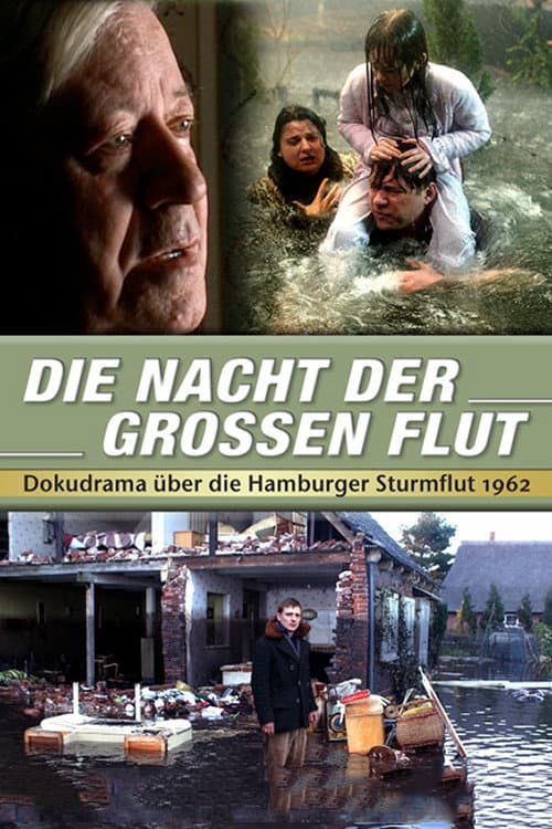 Afiche de Die Nacht der großen Flut