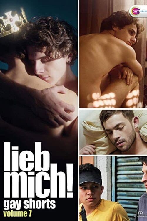 Afiche de LIEB MICH! - Gay Shorts Volume 7