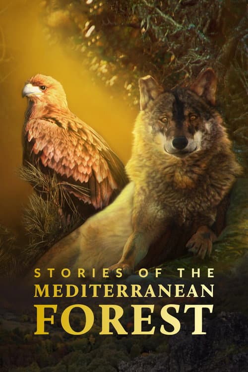 Afiche de Las historias del bosque mediterráneo