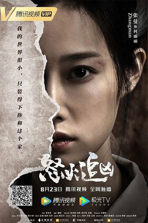 Afiche de 怒火追凶
