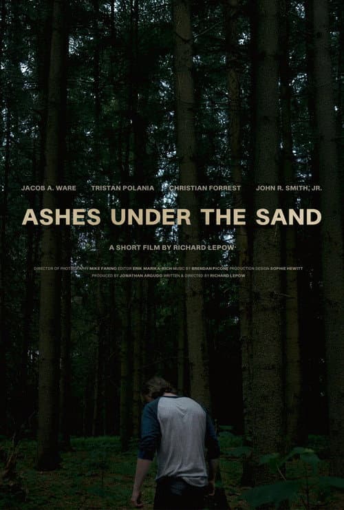 Afiche de Ashes Under the Sand