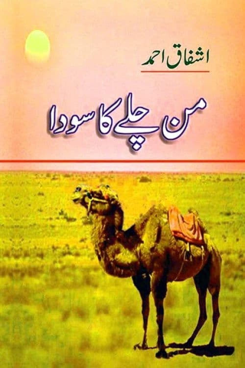 Afiche de من چلے کا سودا