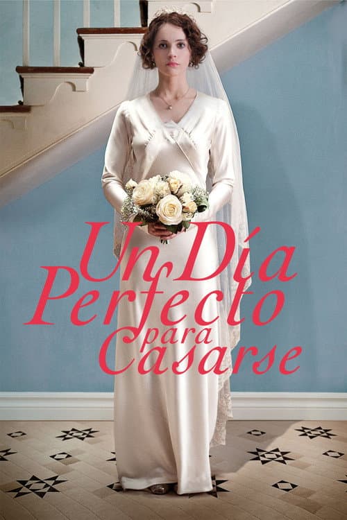 Afiche de Un día perfecto para casarse