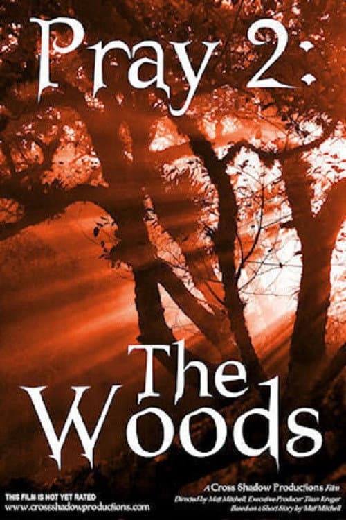 Afiche de Pray 2: The Woods