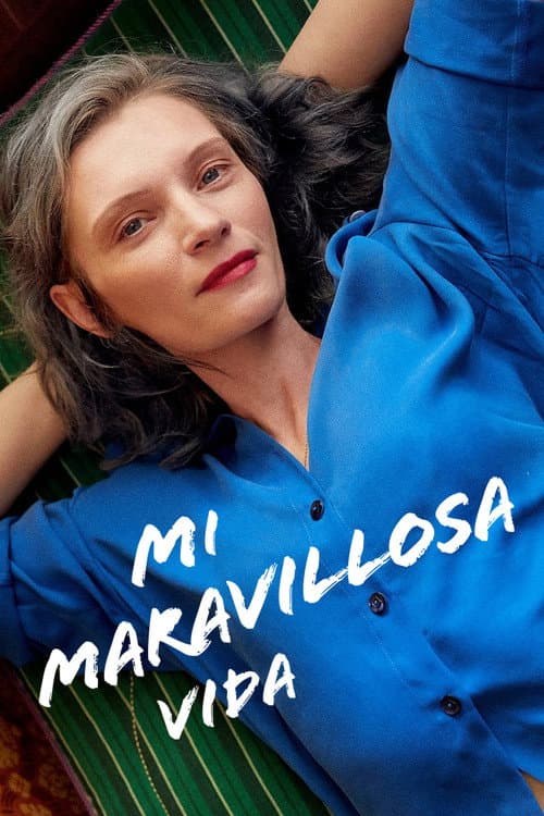 Afiche de Mi maravillosa vida