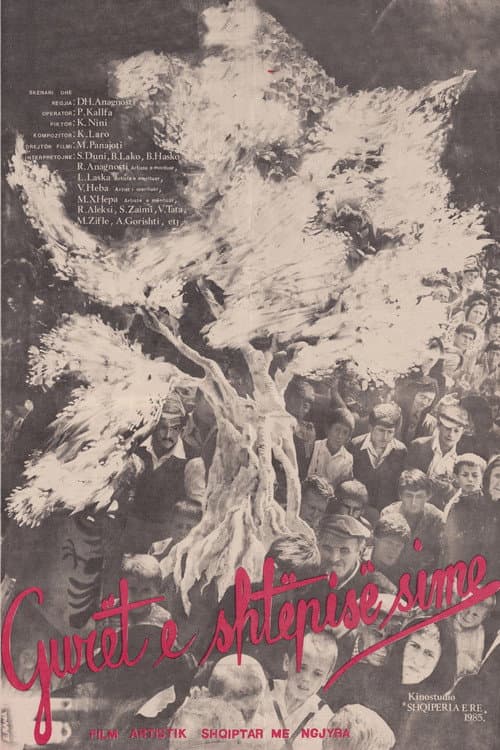 Afiche de Gurët e shtëpisë sime