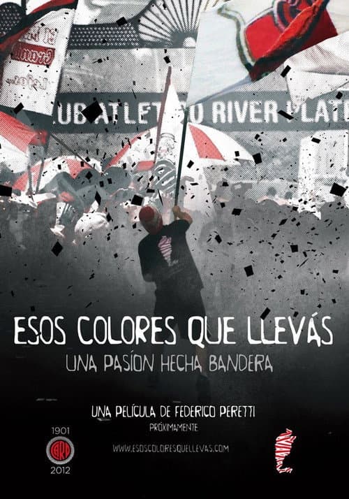 Afiche de Esos colores que llevás