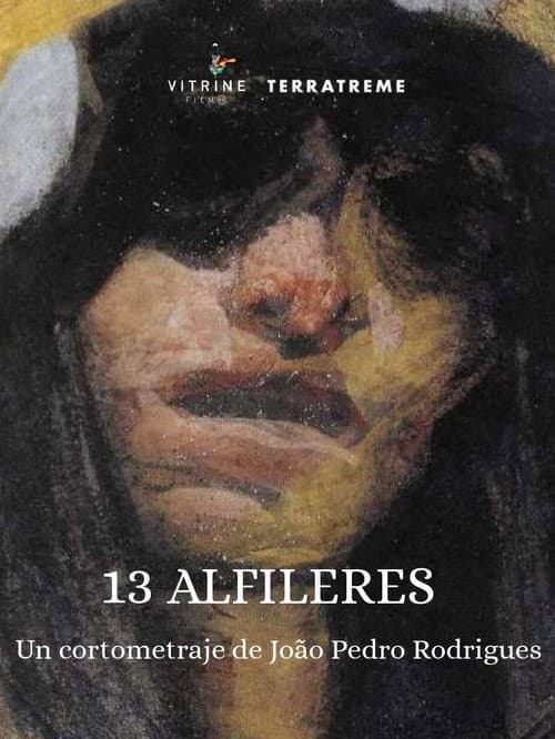 Afiche de 13 Alfinetes
