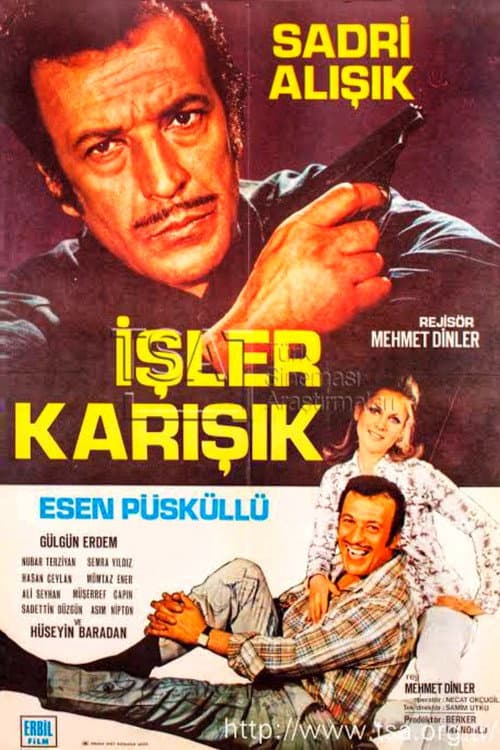 Afiche de İşler Karışık