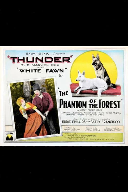 Afiche de The Phantom of the Forest