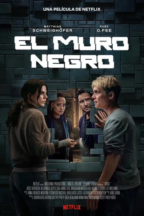 Afiche de El muro negro