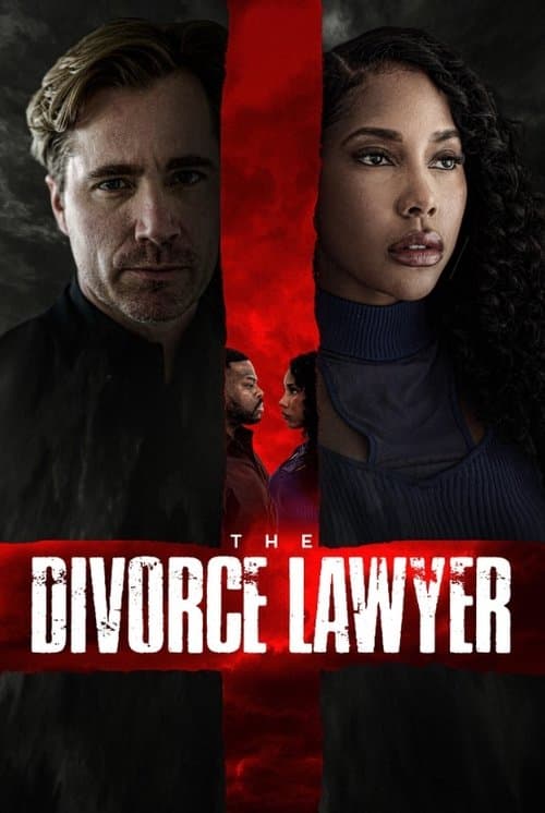 Afiche de The Divorce Lawyer