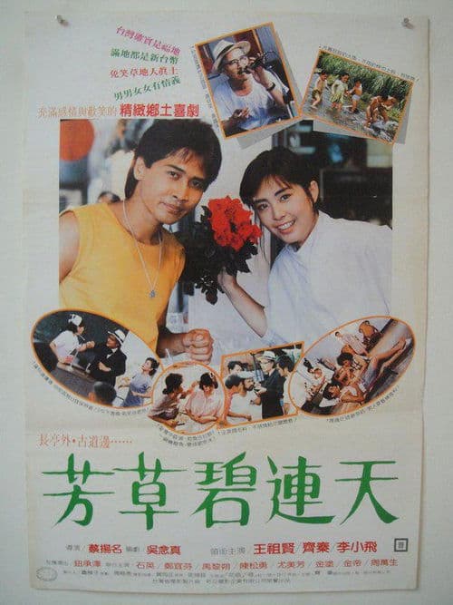 Afiche de 芳草碧連天