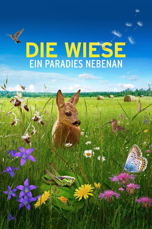 Afiche de Die Wiese: Ein Paradies nebenan