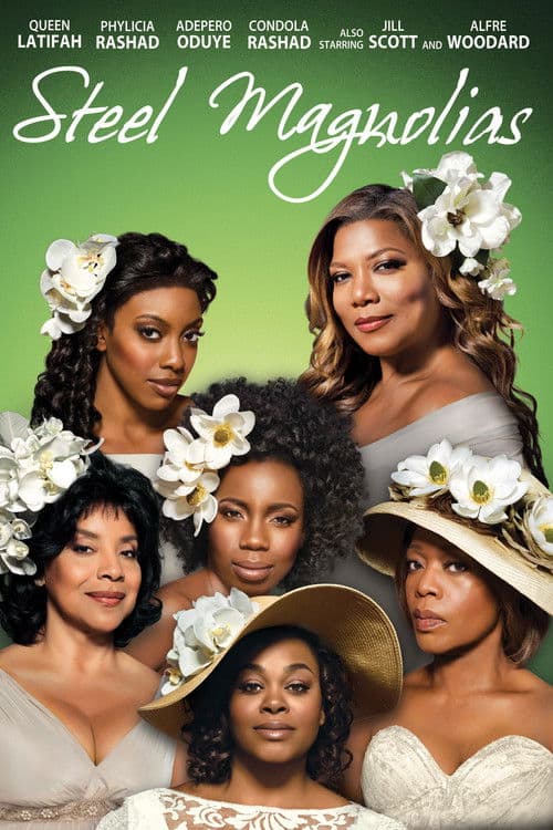 Afiche de Magnolias de acero
