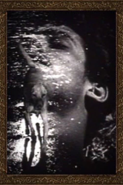Afiche de Buñuel