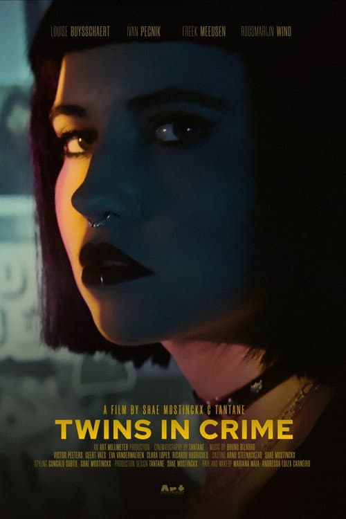Afiche de Twins in Crime